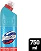Domestos الأوكالبتوس نضارة كثيفة التبييض المستمر (1 × 750 مل)
