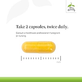 Terry Naturally Healthy Feet & Nerves - Herbal Supplement with Bioactive Vitamin B12 - Circulation & Nerve Health Support Supplement - Vegan Capsules with Boswellia Serrata - 120 Capsules (Pack of 2)