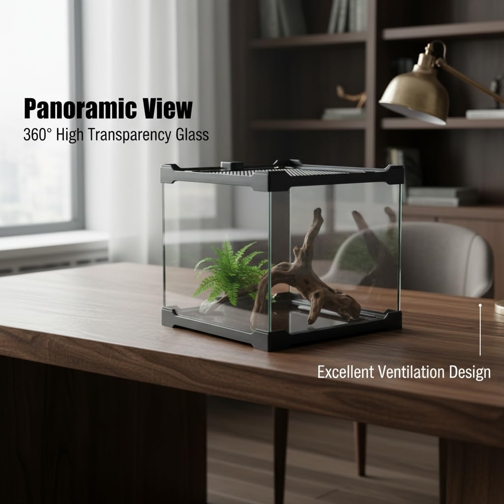 Terrarium Rettile - Scatola di alimentazione 20 x 20 x 17 cm, in vetro per rettili e piante con copertura di ventilazione
