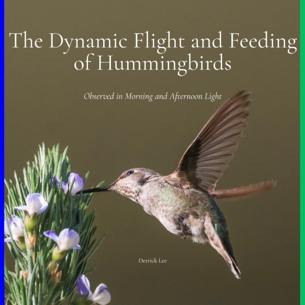 The Dynamic Flight and Feeding of Hummingbirds: Observed in Morning and Afternoon Light (Dynamic Hummingbirds)