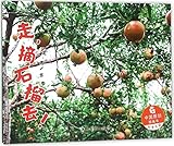  Let\'s Go And Pick Up Pomegranates/ Chinese Original Picture Books (Chinese Edition)