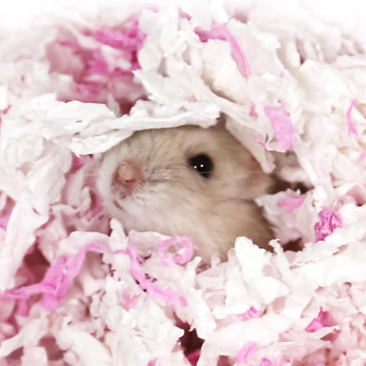 Namvo Literie en Papier pour Hamster, granulés absorbants pour Cochon d'Inde, Lapin, 500 g, sans poussière et contrôle des odeurs, litière en Papier pour Reptiles, Petits Animaux (Rose/Blanc