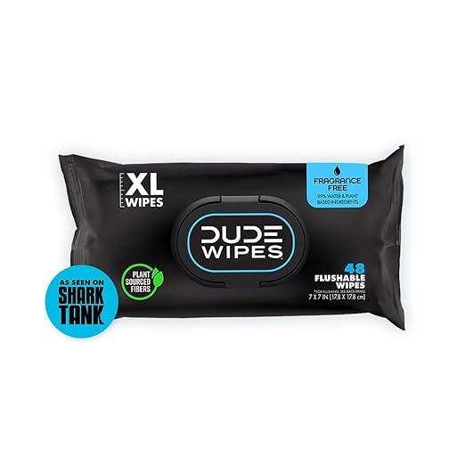 DUDE Wipes Flushable Wipes - 1 Pack, 48 Wipes - Unscented Extra-Large Wet Wipes with Vitamin-E & Aloe for at-Home Use - Septic and Sewer Safe