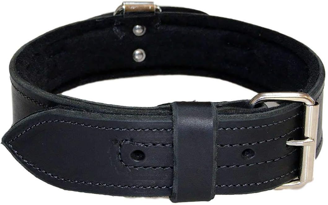 2 Inch Heavy Duty Leather Dog Collar with Felt and Handle Redline K9 (16 inch - 21 inch)