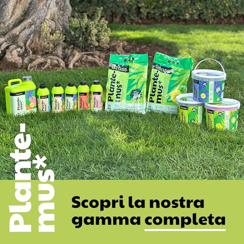 Plantemus Concime Prato Complete - Npk (12-11-18) + Micronutrienti, Verde, Denso E Durevole, Granulare In Perle Ultrasolubili, 20 Kg Copre 700 M² - 7