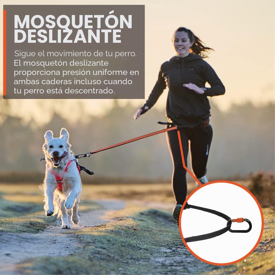 Non-Stop Dogwear Cinturón Canix para Perros | 123X | Máxima Seguridad – Peso Mínimo | Talla M | Canicross