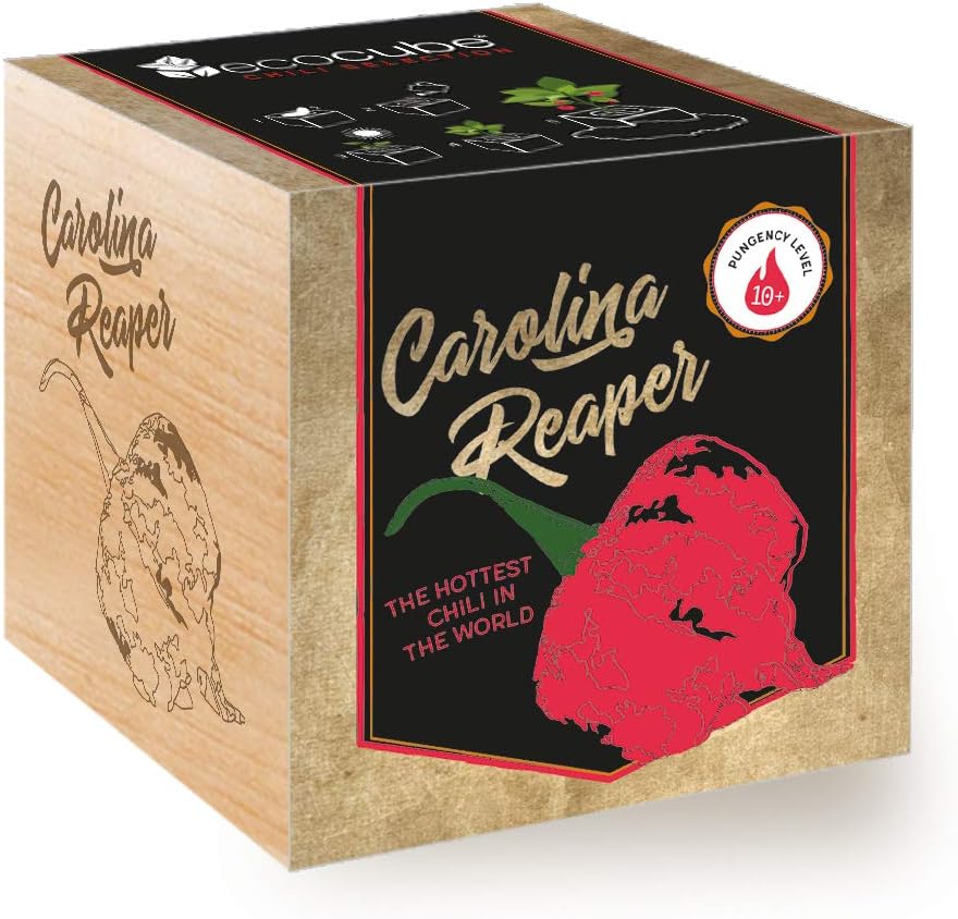 Feel Green Ecocube Chili Carolina Reaper, The World's Hottest Chili, Grow Your Own Kit in A Wooden Cube | Made in Austria | Original, Sustainable & Unusual Gift (100% Eco Friendly)