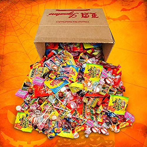 HUGE Assorted Candy PARTY MIX BOX 6.50 LBS 104 OZ Over 255 Individually Wrapped Candies of All Time America s Most Favorite Assorted Candies