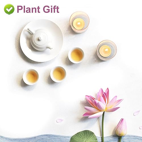 Miniatura 5 de PlantGift - Pétalos de flor de loto 1.06 oz1 onza, té suelto de hoja de loto, 100% puro y natural, sostenible sin aditivos, té chino
