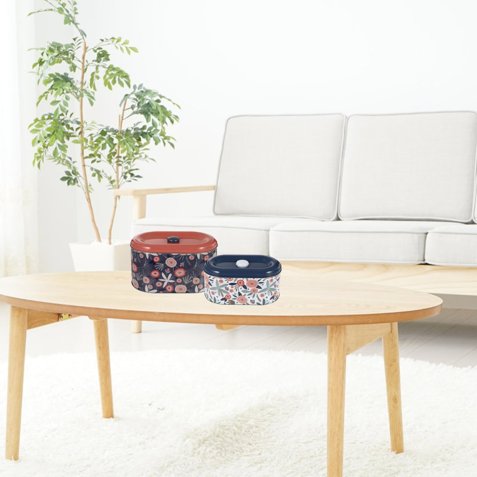 Anneome Scatole di Latta con Coperchio in Stile Europeo, Custodia in Ferro Massiccio Sigillata, Set da 2 Scatole Portaoggetti Compatte per Conservazione Decorativa, Adatte a Casa