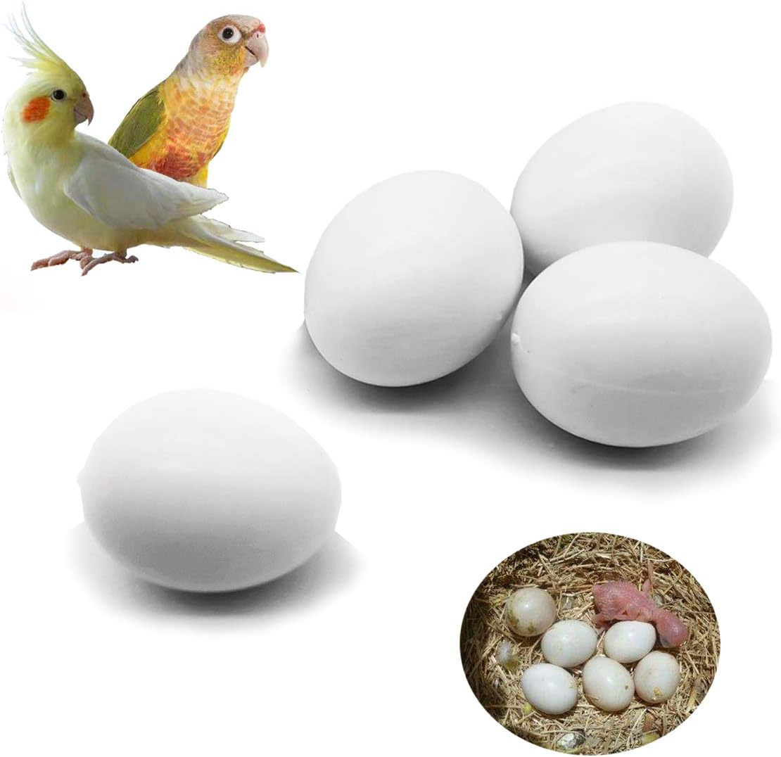 FOIBURELY 4 Pcs Solid Parrot Plastic Eggs Hatching Eggs Green Cheek, Lorikeet&Ringneck Dove, Quaker, Cockatiel. Trick The Birds to Stop Laying Eggs, Fake Eggs