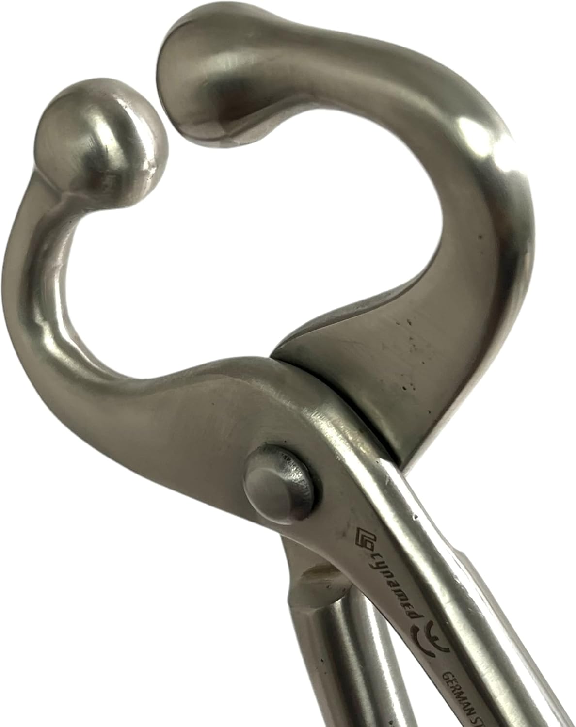 New German Bull Cow Nose Lead with Chain Show Cattle Steel Farm Ranch Veterinary