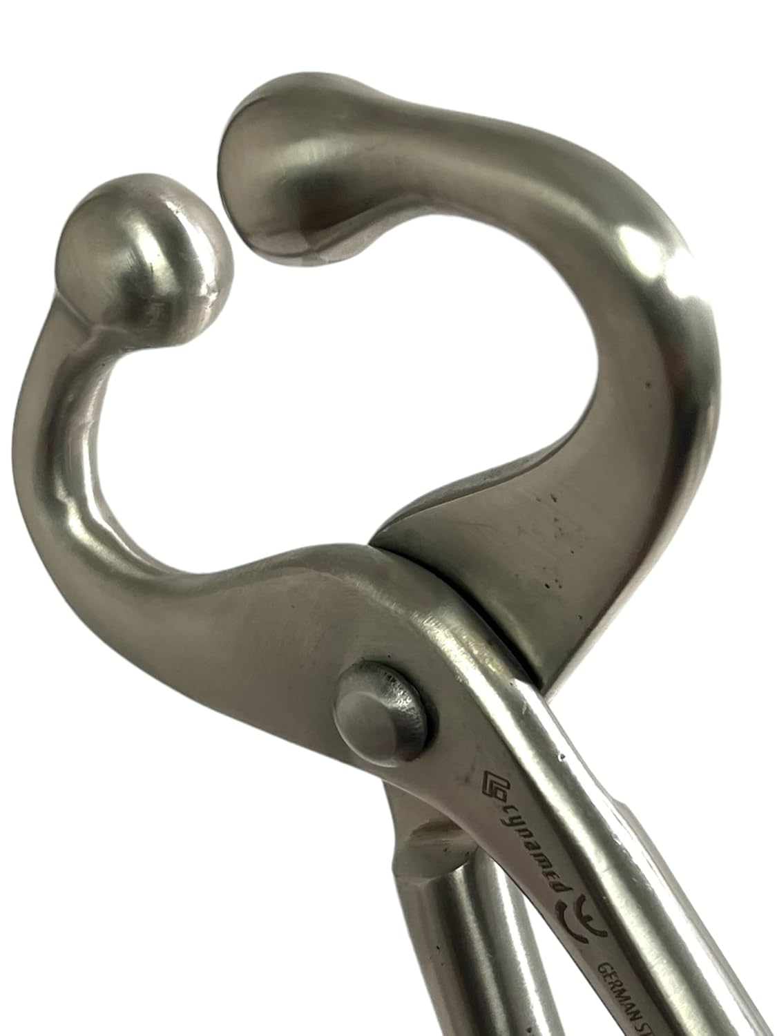 New Bull Cow Nose Lead with Chain Show Cattle Eartag Vaccinator Stainless Steel