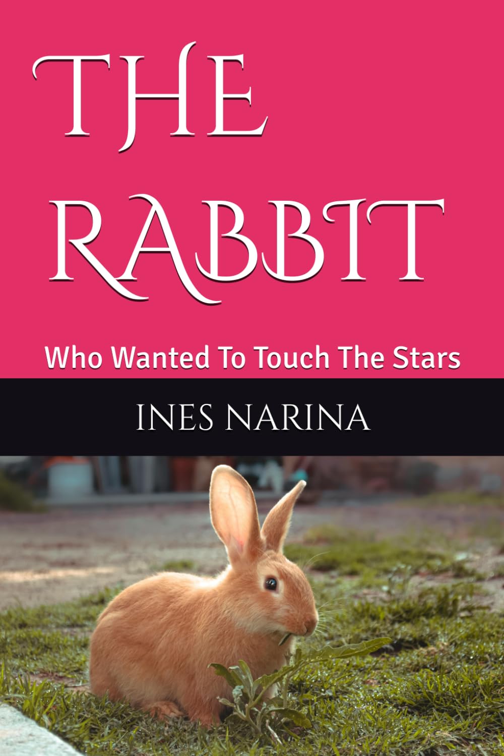 THE RABBIT: Who Wanted To Touch The Stars