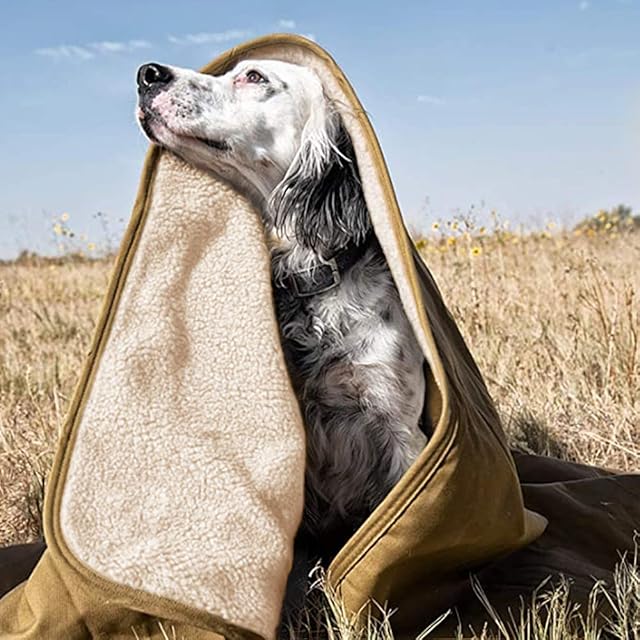 YANGWX Waterproof Dog Blanket Pet Blanket, Soft and Warm Puppy Kitten Sleep Pad Mat, Washable Plush Throw Protects Couch, Chairs, Car, Bed from Spills,for Small Medium Large Pet - (80x60cm,ArmyGreen)