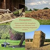 BAUSTER® Widelec do siana, widelec do siana, 4 zęby do ogrodu z trzonkiem 115 cm, widelec do stajni, gospodarstwa rolnego, wysokiej jakości stal, widelec do obornika, wytrzymały widelec do obornika dla ogrodnika i rolnika, widelec druciany