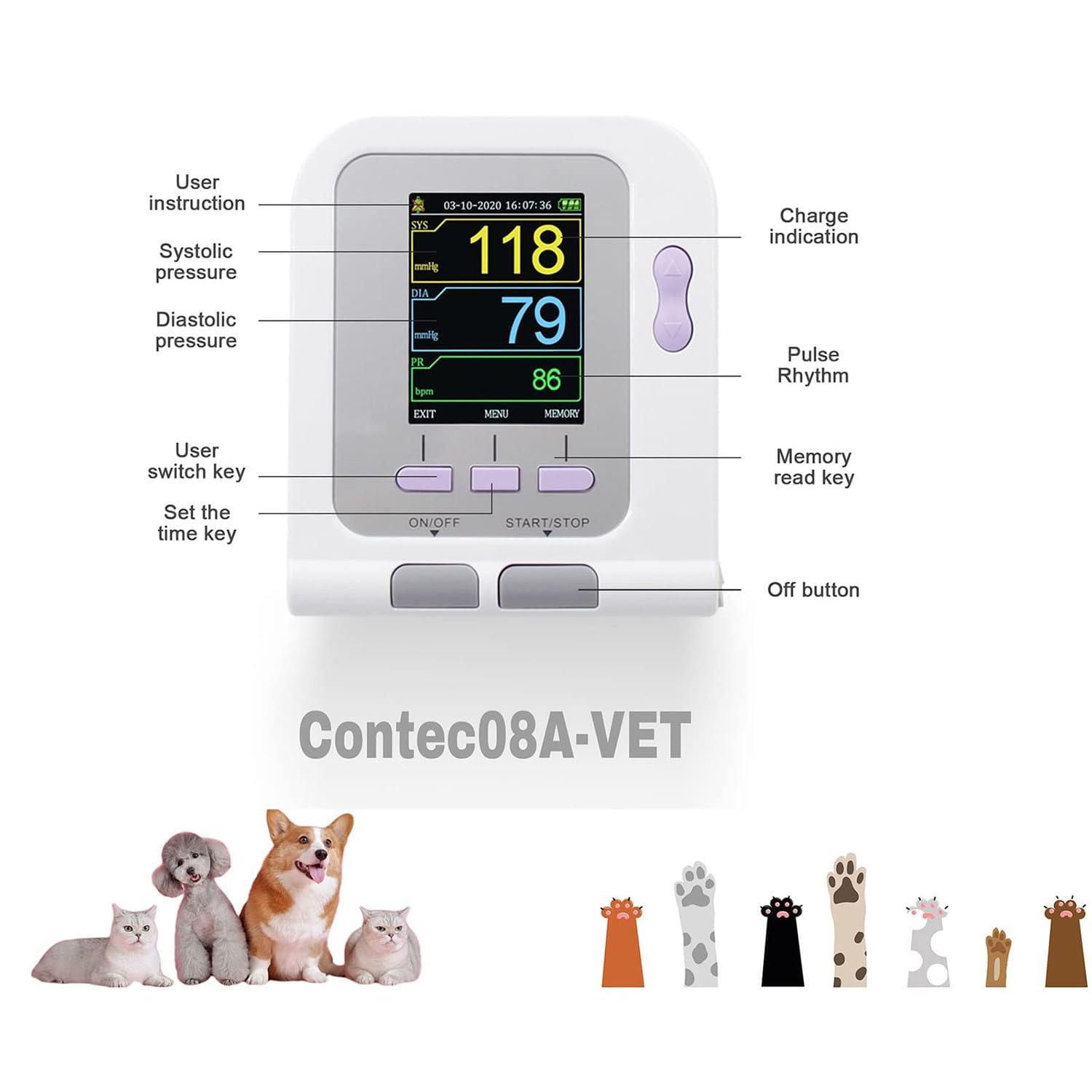 BLUEZY Monitor Presión Arterial Veterinaria, Veterinario/Animal Gato/Perro Monitor Electrónico Automático De Presión Arterial con 3 Puños Y 100 Juegos De Memoria Almacenada