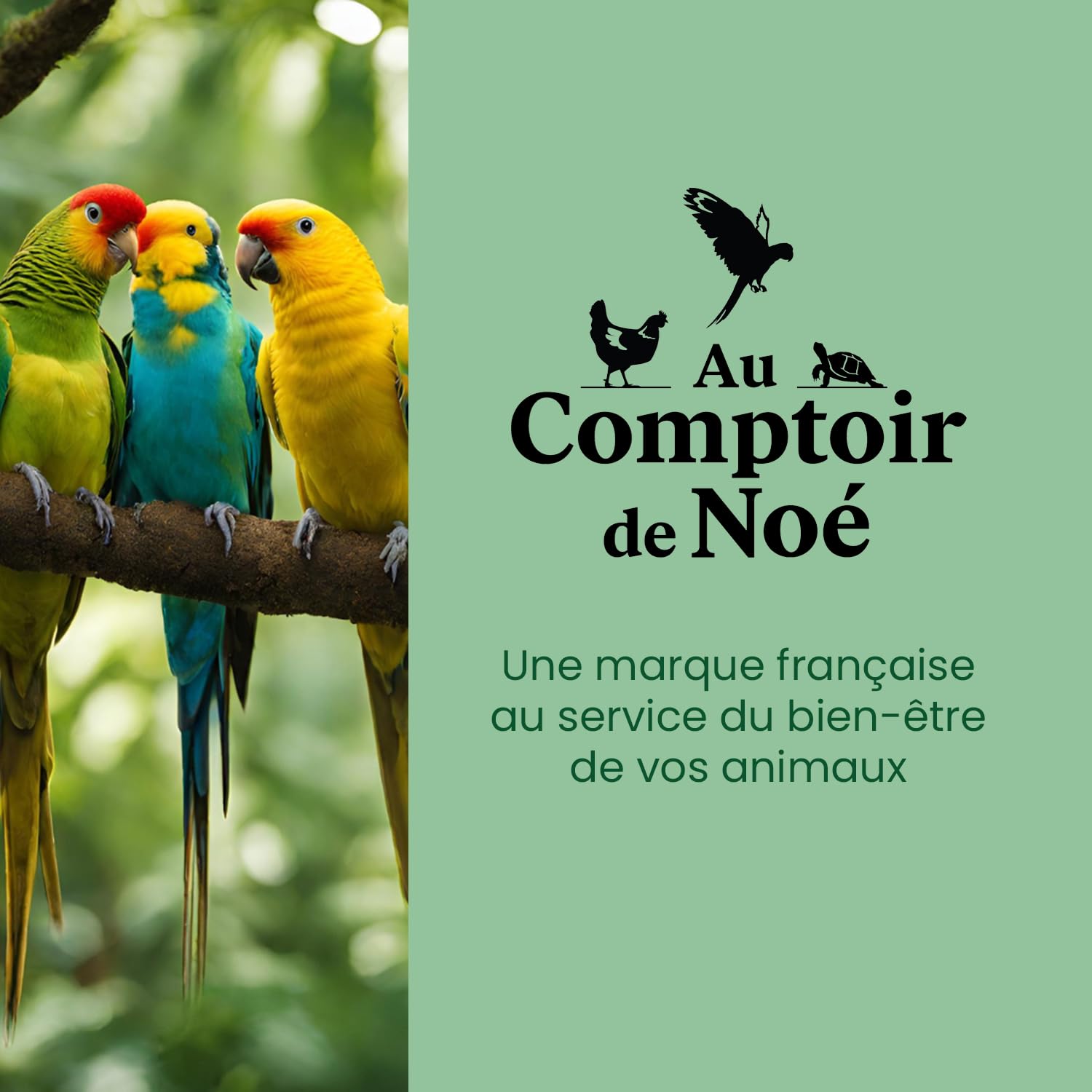 vers de Farine Séchés Français, 5kg (32,5L), 100% Naturel, Enrichis en Vitamines D3, Insectes Riches en Protéines et Bonnes Graisses, Nourriture Oiseaux Sauvages, vers de Farine Au Comptoir de Noé