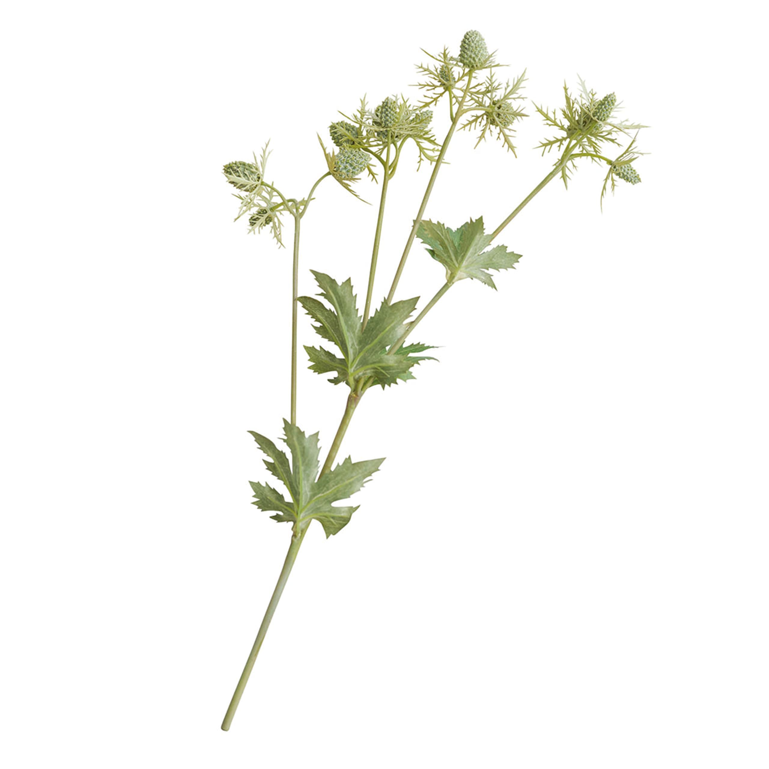 BLOOM Artificial Single Green Sea Holly Stem 55cm - Faux Silk Flowers, Rustic Wedding Flowers & Decorations, Fake Foliage Flower Stems, Indoor Home Decor, Vase Not Included