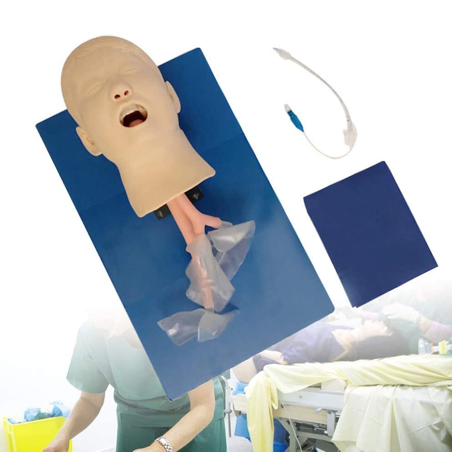 Buy DEEJOO Airway Management Trainer Intubation Manikin, Oral Nasal ...