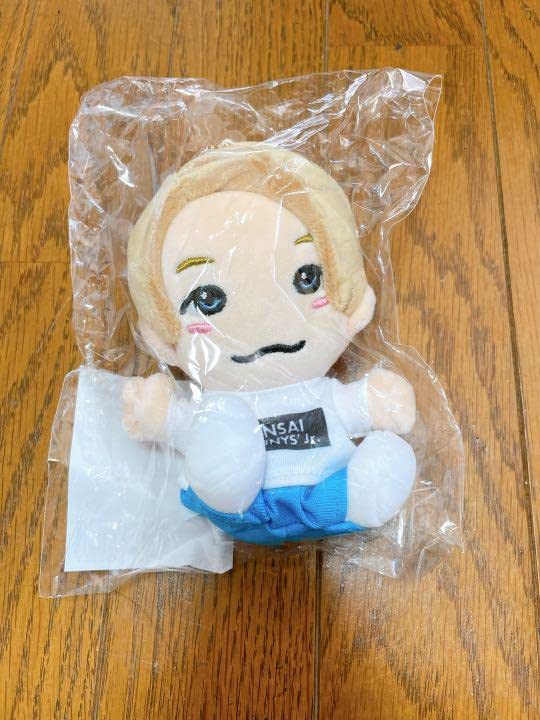 Amazon.co.jp: ちびぬい Aぇ group ぬいぐるみ : おもちゃ