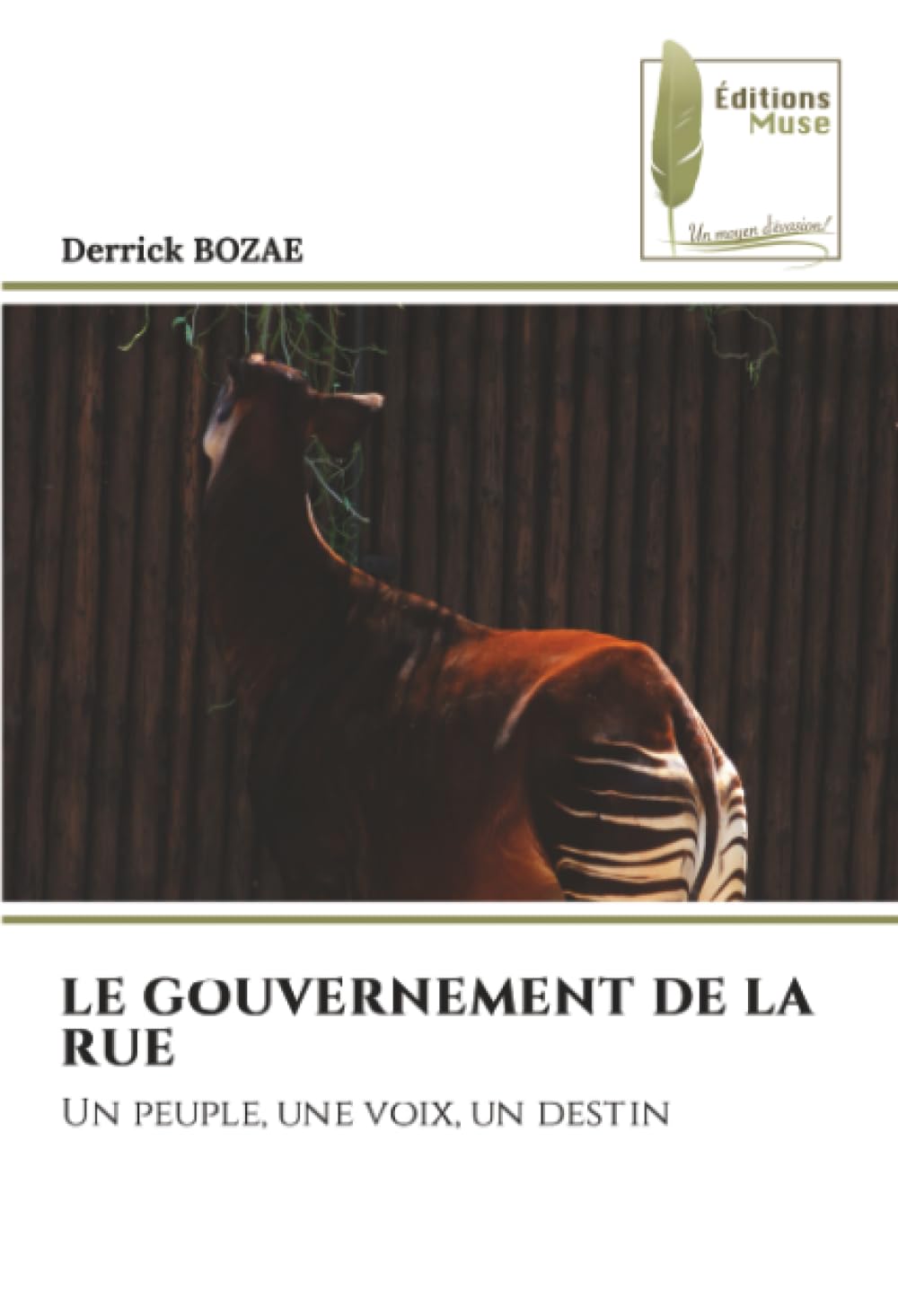 LE GOUVERNEMENT DE LA RUE: Un peuple, une voix, un destin