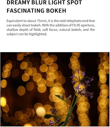 Miniatura 3 de 7artisans Lente fija APS-C de 1.969 in F0.95 de gran apertura manual enfoque APS-C para cámaras sin espejo Sony E-Mount