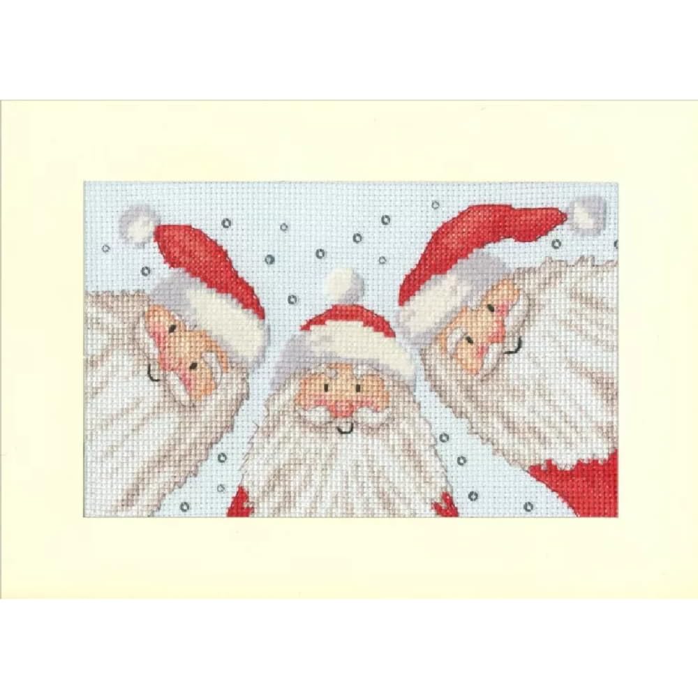 Bothy Threads Counted Cross Stitch Kit - Santa Selfie