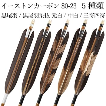 美品 カーボン矢 イーストンウッドカーボン80-23  長さ95cm 矢筒付き Amazon | 山武弓具店 矢 弓道 黒尾羽 イーストンカーボン 80-23