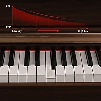 Vista 2 de ZHRUNS - Piano digital de 88 teclas con teclado de tamaño completo y teclas completamente ponderadas, teclado de piano acústico profesional