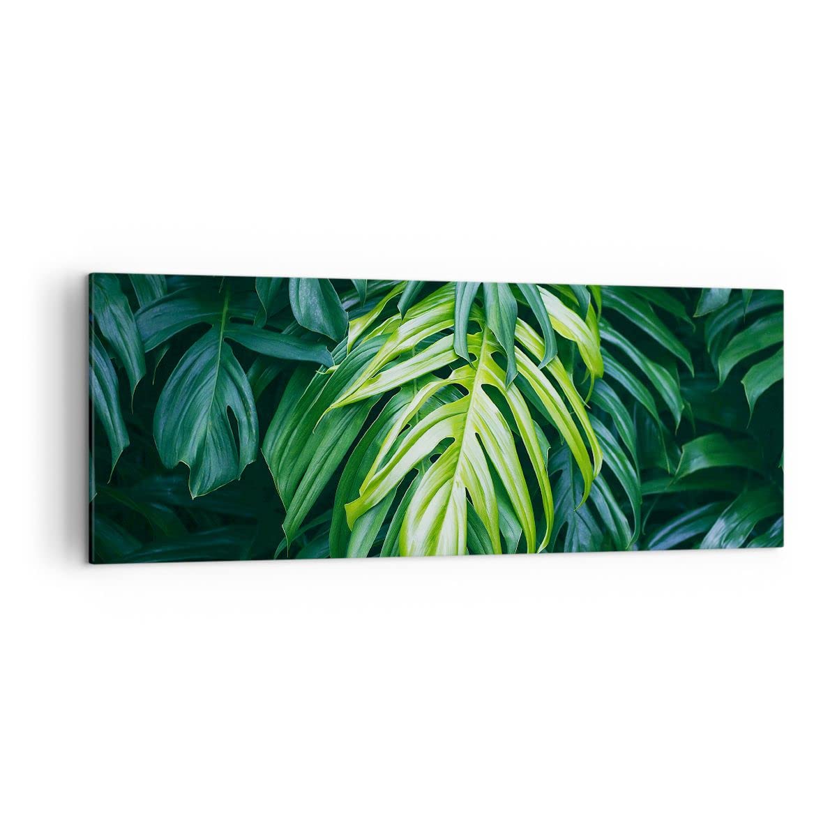 Lienzos Decorativos Flores Rosas En Blanco Y Negro Cuadro Sobre Lienzo Moderno Vertical 50x70cm Cuadros Decoracion Salon Dormitorio Cocina Cuadros Pared Imágenes Wall Art Prints Decor PA50x70-5623