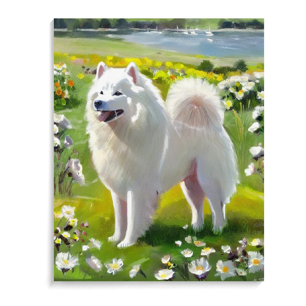 Paint by Numbers for Adults Beginners Samoyed Dog Gift Birthday Anniversary or Any Festival. DIY Acrylic Painting Kit for Room Decor Canvas 12x16inch(30x40cm) Frameless