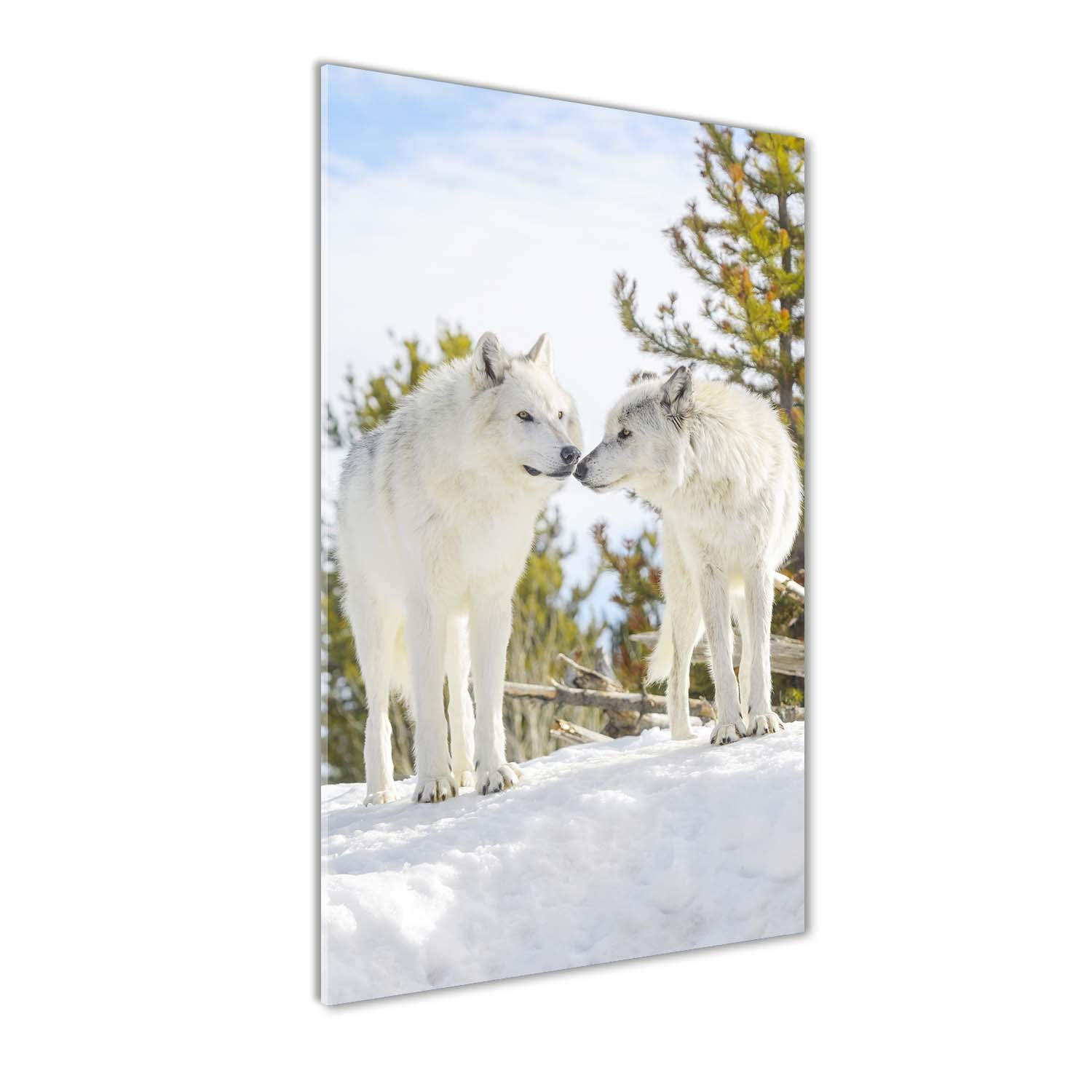Impression sur verre acrylique Tulup pour sublimer un mur vide avec deux loups blancs