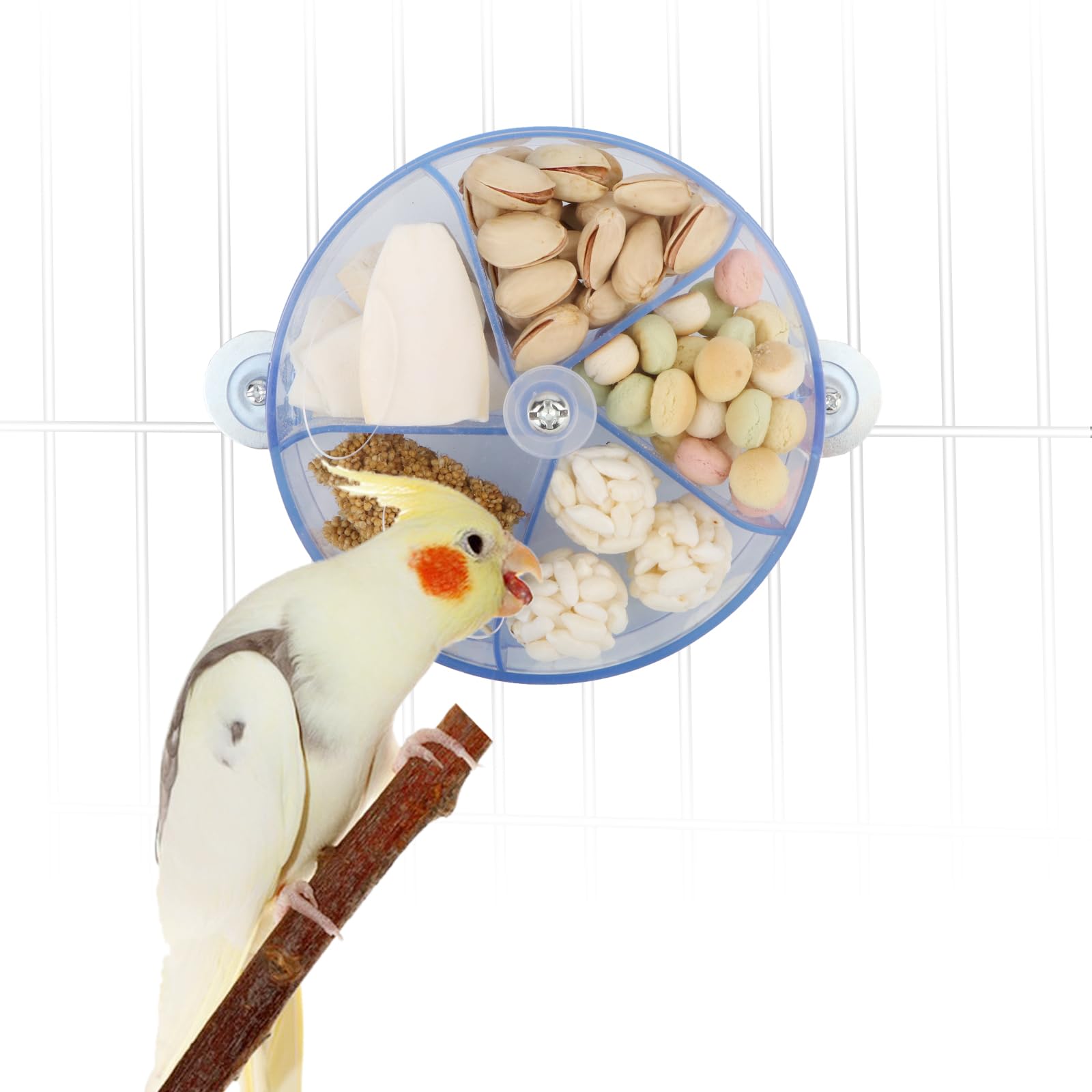 Bird Creative Foraging System Wheel Seed Food Ball Rotate Training Toy for Small and Medium Parrots Parakeet Cockatiel Conure (Clear Blue)