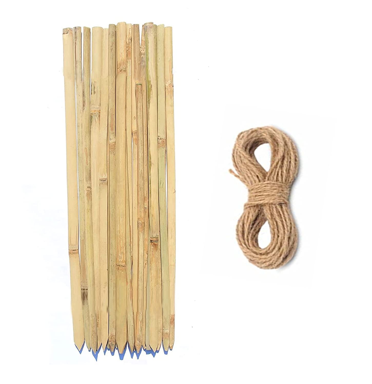 MNSS Bamboo Sticks Plank for Plants Support - 2 Feet 2 Inch /26 Inch (67cm, Set of 20 Piece) (B09YLKQDWW) Amazon Price History, Amazon Price Tracker
