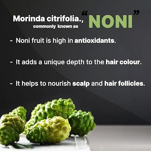 Miniatura 3 de BSY Noni - Champú de color marrón oscuro (0.7 fl oz x 10 bolsitas)  Champú de color de cabello sin amoníaco para hombres  Champú permanente de tinte