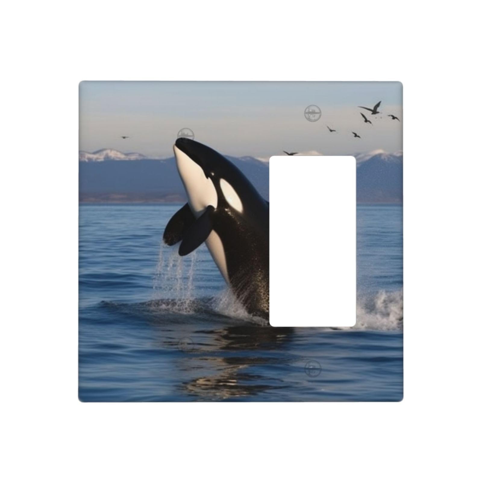 Decorator Wall Plate 2 Gang Light Switch Covers Killer Whale Wallplate Double Toggle Switch Plate Standard Size Electrical Outlet Covers Decorative Wall Switch Plate Cover