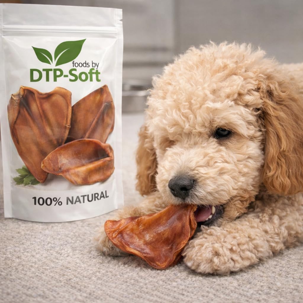 Getrocknete Schweineohren Hundesnack 10 Stück - natürlicher Kausnack für Hunde 100% Schweineohren ohne Zusätze - Kauartikel Hund für Zahnpflege - proteinreicher Hundesnack für alle Rassen