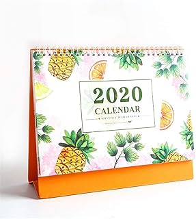 Fllyingu Calendario De Pared Planificador Para El Hogar 2019 2020