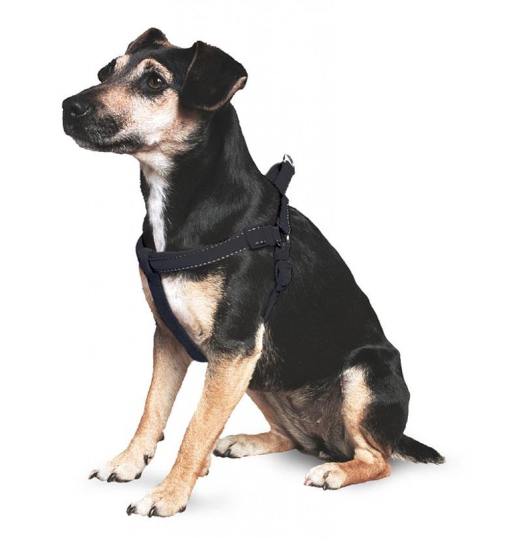 Ancol Nylon Padded Reflective Harness Black Extra Small