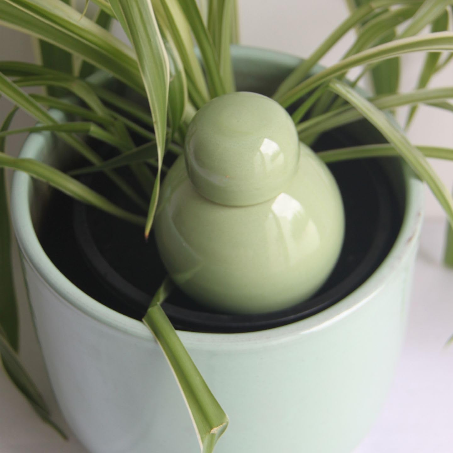 Ollas Lutton Olla Terre Cuite à Planter 40cl| Arrosage Autonome pour Plantes d'interrieur Ecologique & Economique | Système d'Irrigation Naturel | Autonomie 3 Jours | Ollas Sabeur Pistache