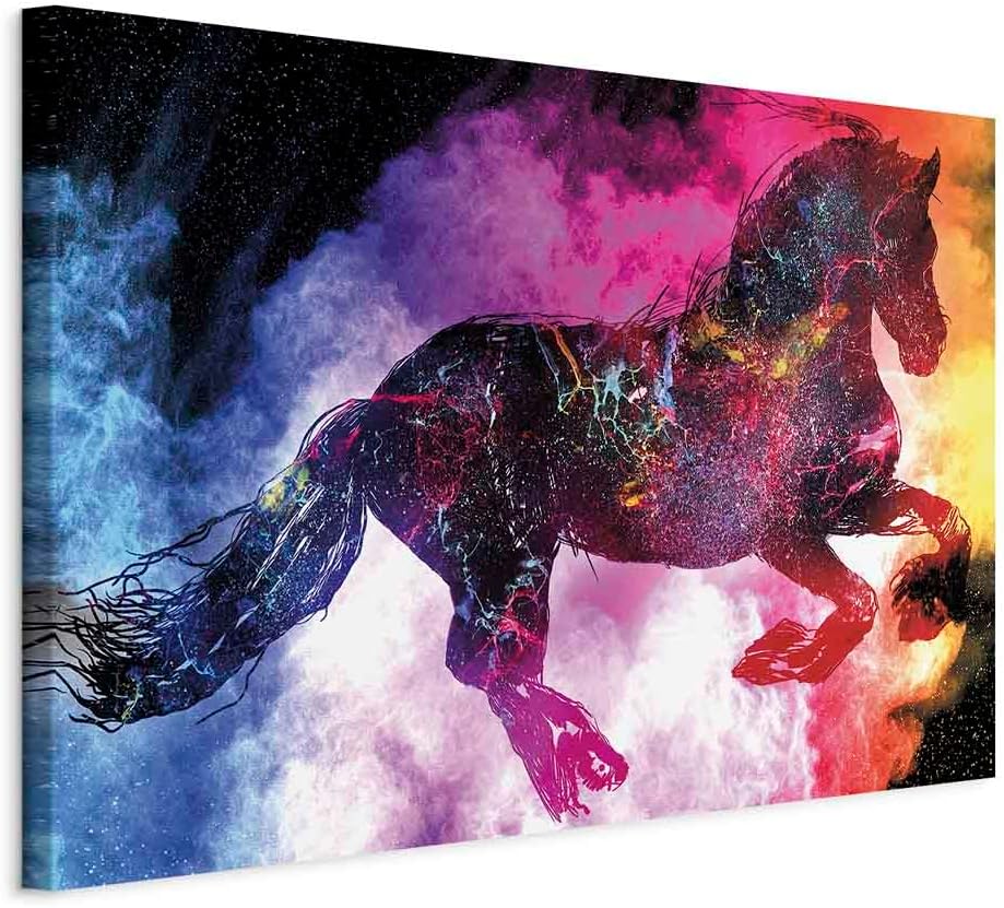 artgeist Acoustic Canvas Wall Art Print Horse 35x24 in - 1pcs Picture with Acoustic Foam Sound Print Artwork Room Acoustics Soundproofing - Colorful Abstract Animals Kosmos g-A-0357-b-a