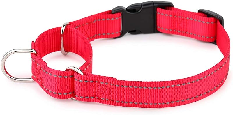 Coleira Martingale Refletiva para Cães PLUTUS PET com Fecho de Engate Rápido, XS, Vermelha