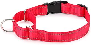 PLUTUS PET Reflective Martingale Collar with Quick Snap Buckle,No Pull Dog Choker Collar for Small Medium Large Dogs,S,Red