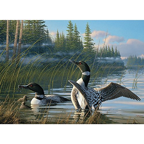 Cobble Hill 1000 Piece Puzzle - Common Loons - Sample Poster Included