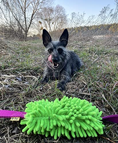 Dingo Mop mit Zwei Griff Hundespielzeug länge 60 cm Agility Apporte Motivation Spiel mit Hund Zerrspielzeuge Training Mehrfarbig 15576