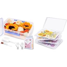 Aboofx 4 PCS Dried Flower Storage Set with Blotting Paper & 5LBS Flower Drying Silica Gel Crystals with Airtight Container, Brush, Ice Scraper & Gloves, for DIY Art Craft Lovers, Transparent & 5LBS
