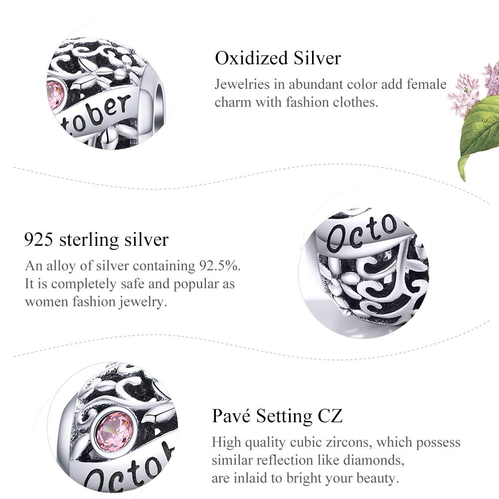 Lorrifal Ciondoli Originali in Argento Sterling 925 con Zirconia Cubica Pietra di Nascita Charm Portafortuna Adatti per bBraccialetti Pandora, Collane e Gioielli Perfetti per Compleanno
