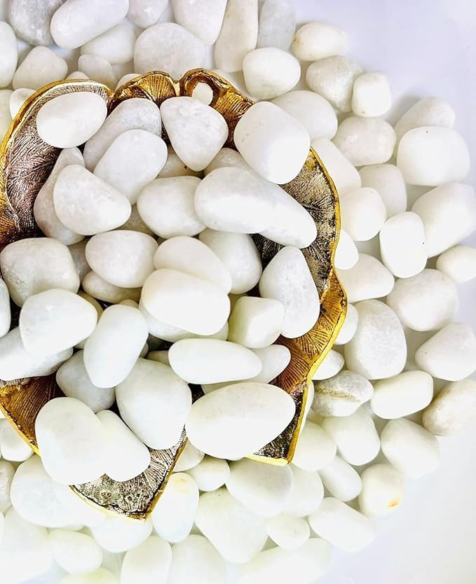 BKD Polished White Pebbles Glossy Stones - 2Kg (2.5cm - 4cm) | for Home Decorative, Vase Fillers, Aquarium Fish Tank, Garden River Rock Unplanted Substrate-image-29