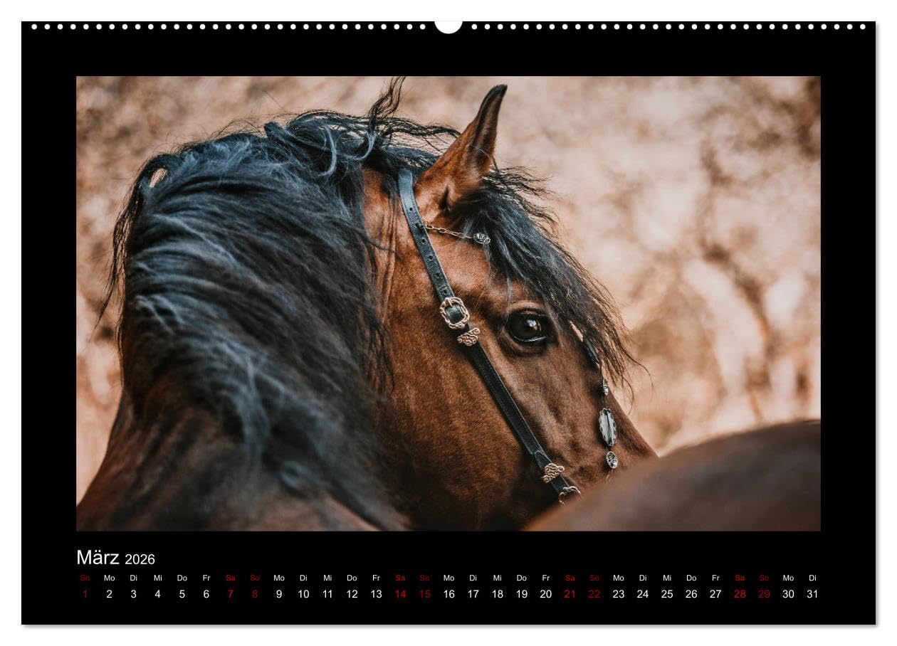 Die Faszinierende Welt der Pferde (Wandkalender 2026 DIN A2 quer), CALVENDO Monatskalender: Lassen Sie sich entführen in die Faszinierende Welt der Pferde (CALVENDO Tiere)